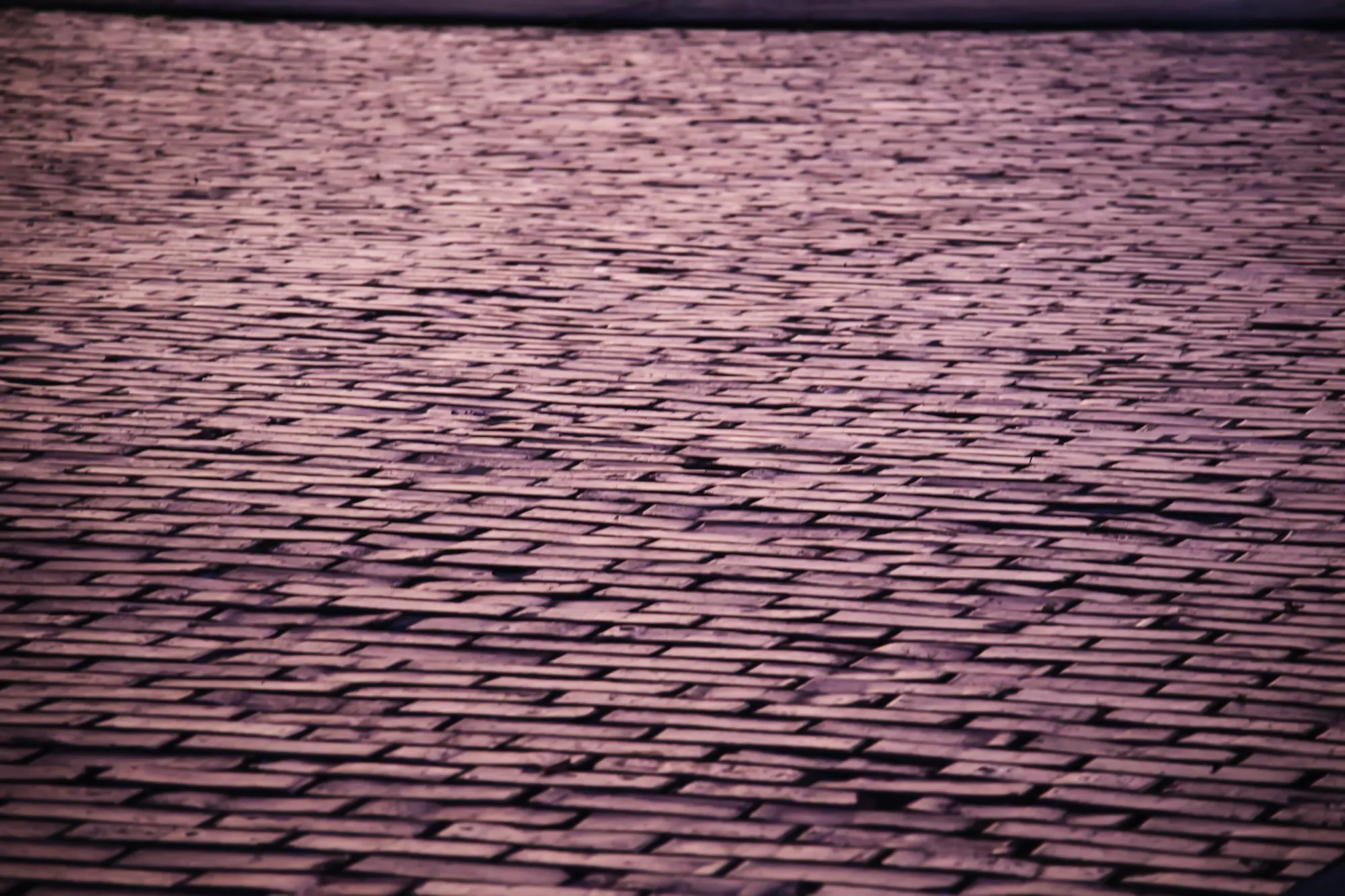 Rows of muted purple-gray asphalt shingles across a roof, the kind of tab edges to check for wind damaged shingles after a storm in Lilburn